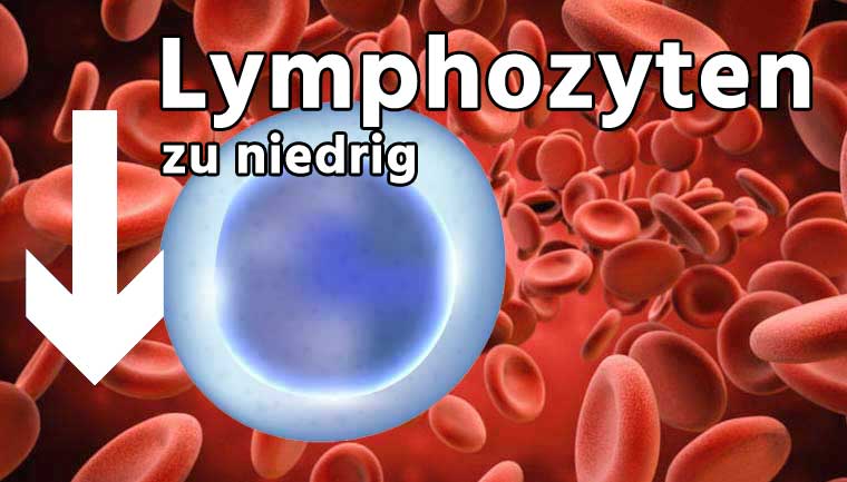 ᐅ Lymphozyten zu niedrig (Laborwert Lymph vermindert) - Erklärungen