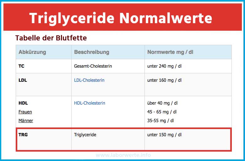 Triglyceride Sind Wichtige Blutfette Einfach Schnell Erkl rt Triglyceride Sind Wichtige Blutfette Einfach Schnell Erkl rt
