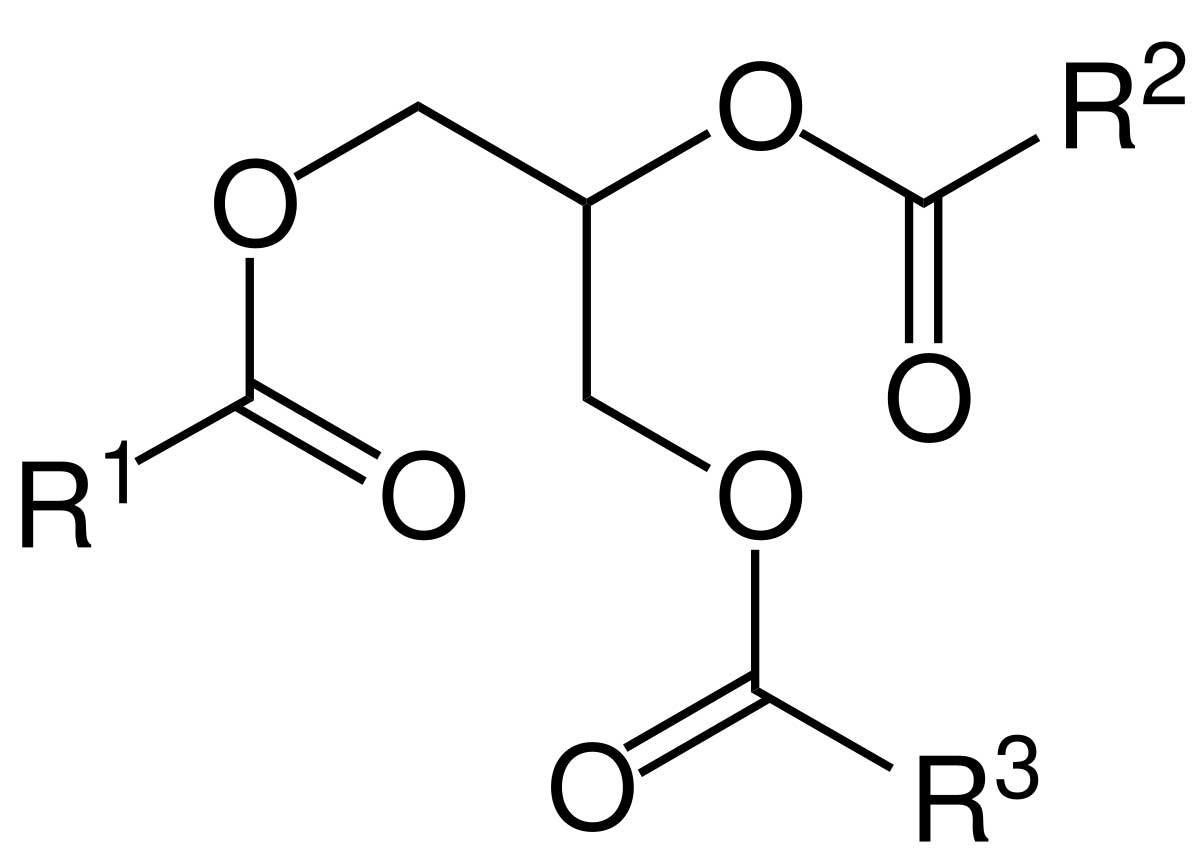 ᐅ Triglyceride sind wichtige Blutfette einfach & schnell erklärt