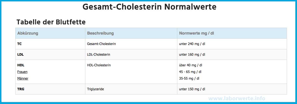 Cholesterin Senken Cholesterinwerte Ern hrung Risiken Erkl rt Cholesterin Senken Cholesterinwerte Ern hrung Risiken Erkl rt