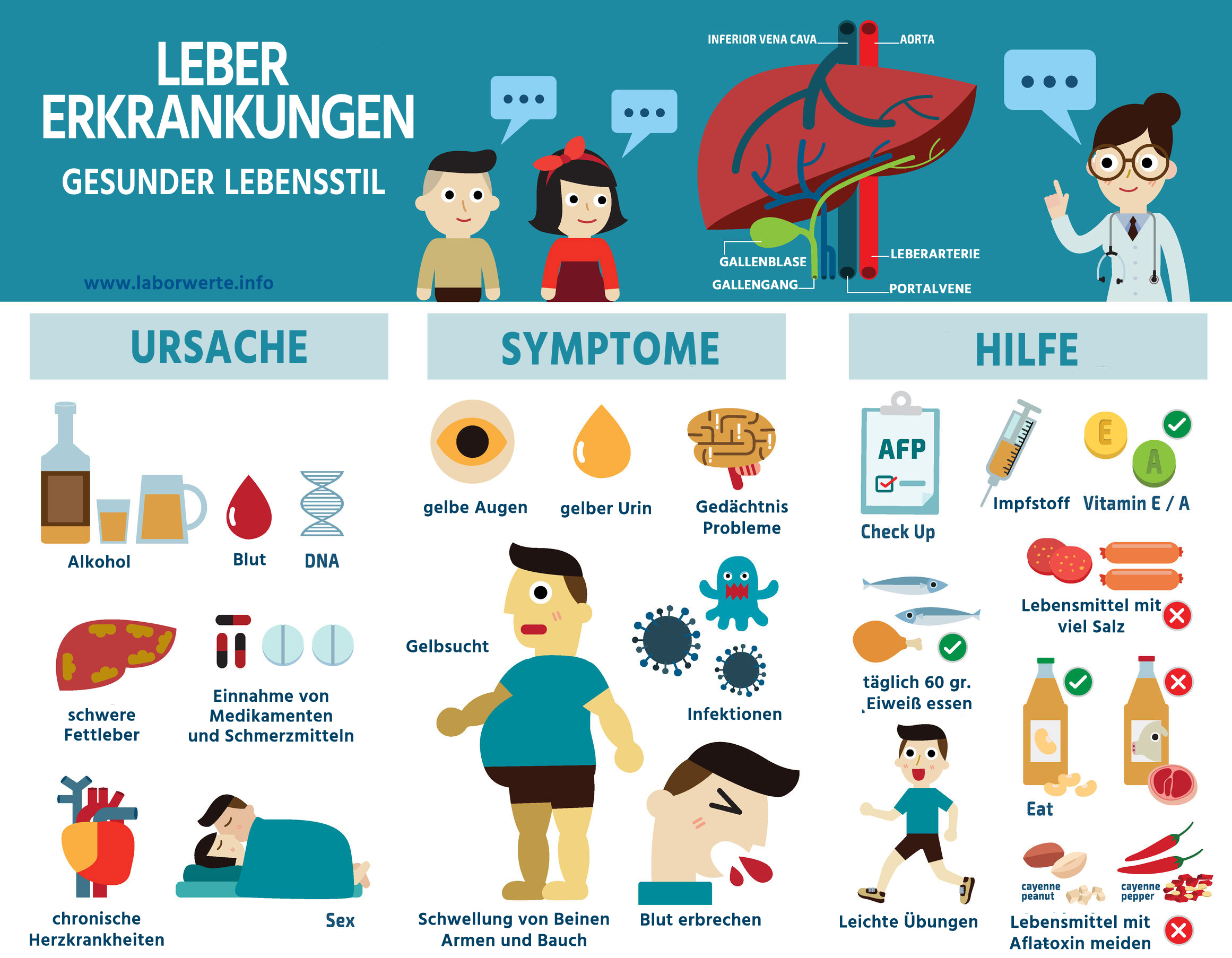 ᐅ Die Leber schützt und entgiftet - Lebererkrankungen & Ursachen